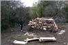 Building The Bonfire On The Day
 © Ron Gough